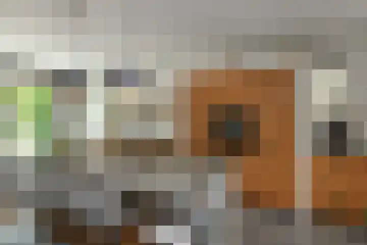 Johan de Wittstraat 17 Elst thumbnail 13