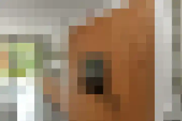 Johan de Wittstraat 17 Elst thumbnail 14
