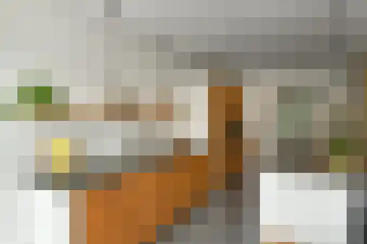 Johan de Wittstraat 17 Elst thumbnail 15