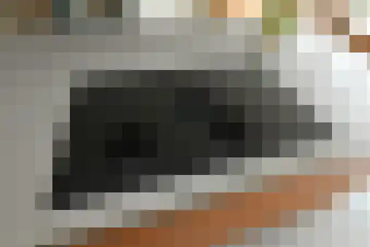 Johan de Wittstraat 17 Elst thumbnail 16
