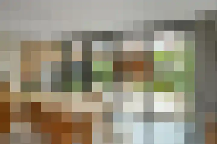 Johan de Wittstraat 17 Elst thumbnail 17