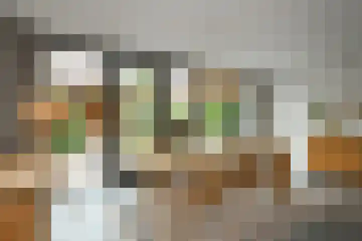 Johan de Wittstraat 17 Elst thumbnail 18