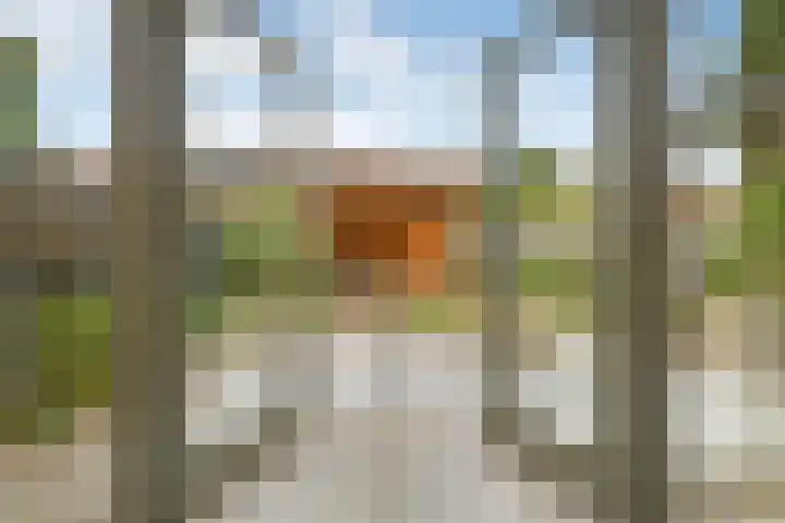 Johan de Wittstraat 17 Elst thumbnail 19