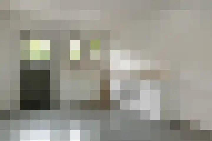 Johan de Wittstraat 17 Elst thumbnail 21