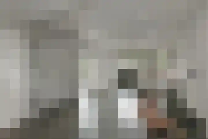 Johan de Wittstraat 17 Elst thumbnail 22
