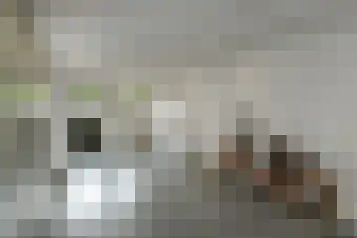 Johan de Wittstraat 17 Elst thumbnail 23
