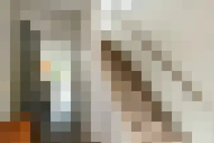 Johan de Wittstraat 17 Elst thumbnail 25