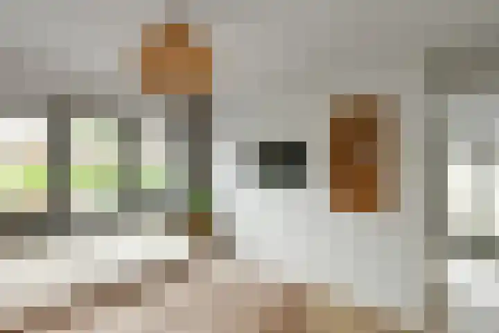 Johan de Wittstraat 17 Elst thumbnail 28