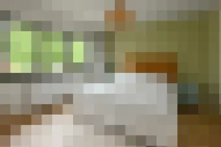 Johan de Wittstraat 17 Elst thumbnail 30