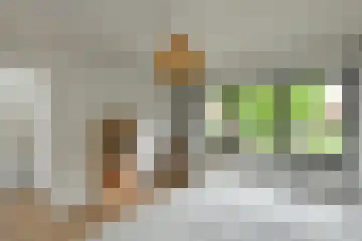 Johan de Wittstraat 17 Elst thumbnail 31