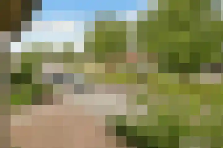 Johan de Wittstraat 17 Elst thumbnail 32