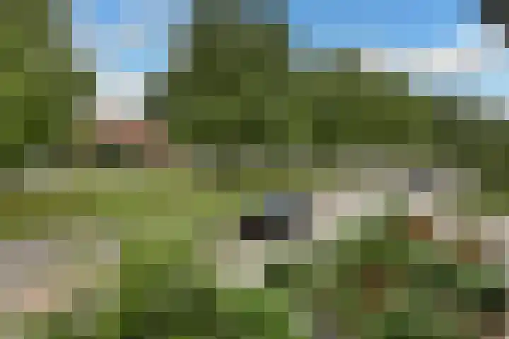 Johan de Wittstraat 17 Elst thumbnail 33