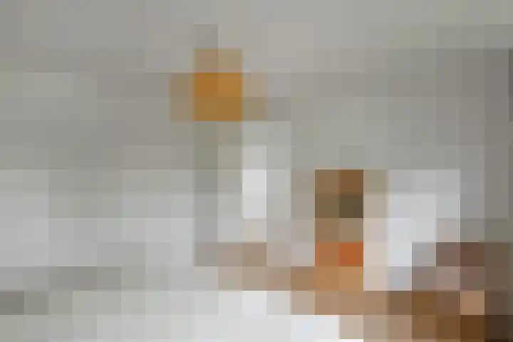 Johan de Wittstraat 17 Elst thumbnail 34