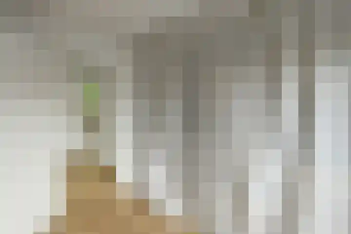 Johan de Wittstraat 17 Elst thumbnail 36