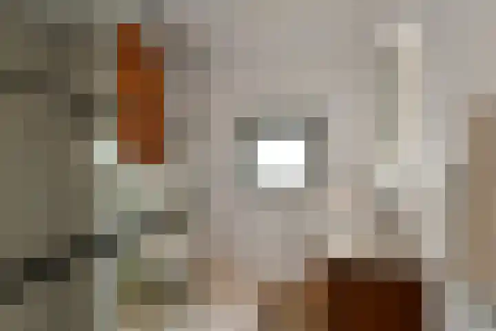 Johan de Wittstraat 17 Elst thumbnail 37