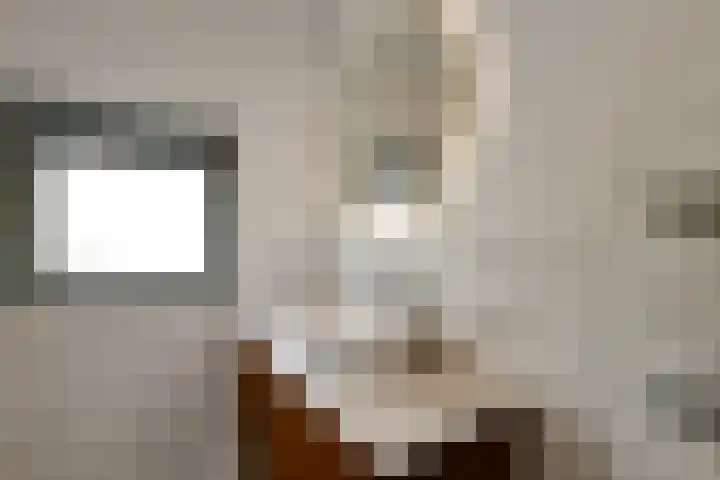 Johan de Wittstraat 17 Elst thumbnail 38