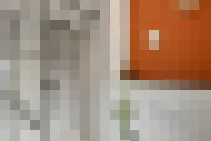 Johan de Wittstraat 17 Elst thumbnail 39