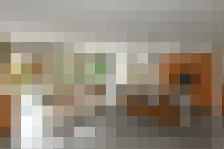 Johan de Wittstraat 17 Elst thumbnail 4