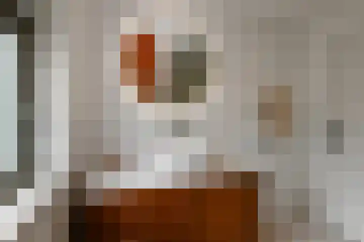 Johan de Wittstraat 17 Elst thumbnail 40
