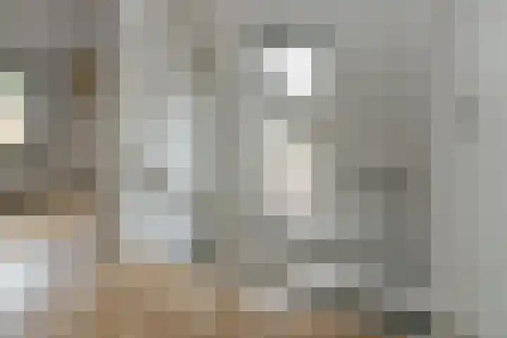 Johan de Wittstraat 17 Elst thumbnail 41
