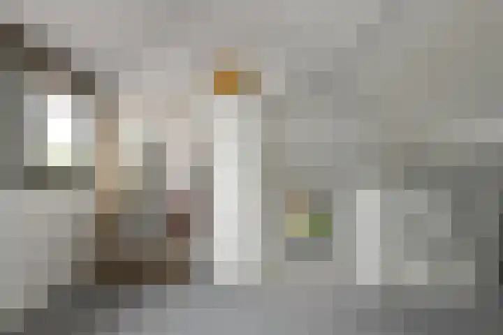Johan de Wittstraat 17 Elst thumbnail 42