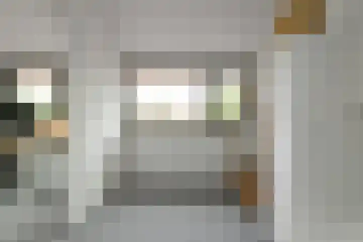 Johan de Wittstraat 17 Elst thumbnail 43