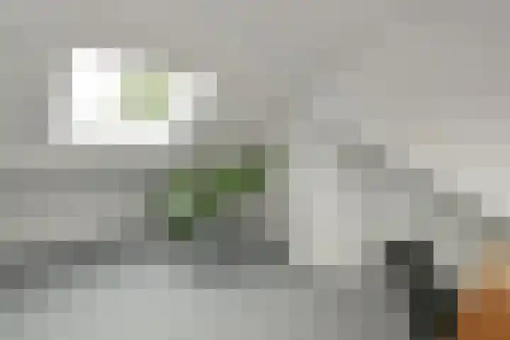 Johan de Wittstraat 17 Elst thumbnail 44