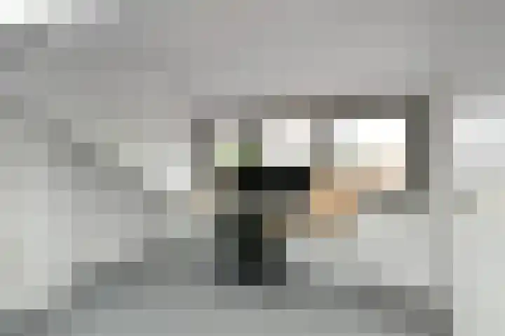 Johan de Wittstraat 17 Elst thumbnail 46
