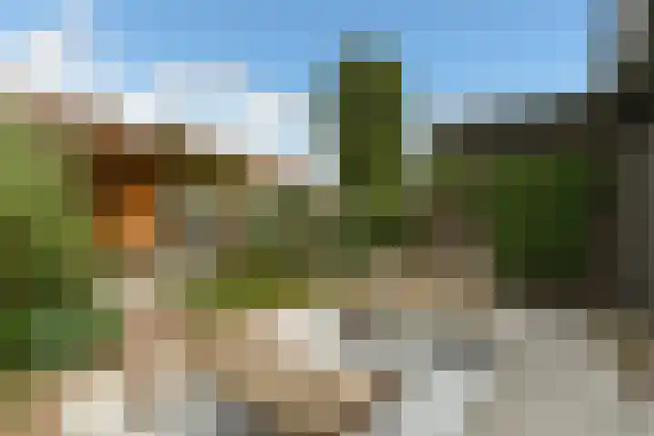 Johan de Wittstraat 17 Elst thumbnail 48