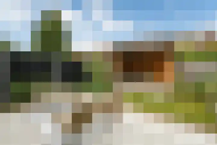 Johan de Wittstraat 17 Elst thumbnail 49