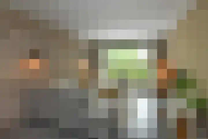 Johan de Wittstraat 17 Elst thumbnail 5
