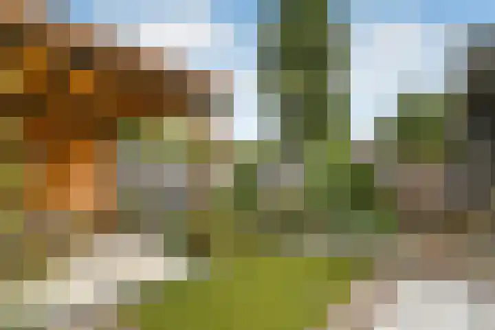 Johan de Wittstraat 17 Elst thumbnail 51