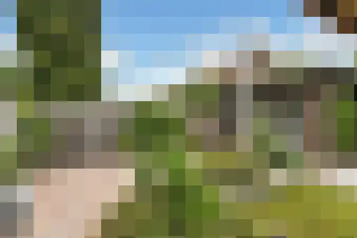 Johan de Wittstraat 17 Elst thumbnail 52