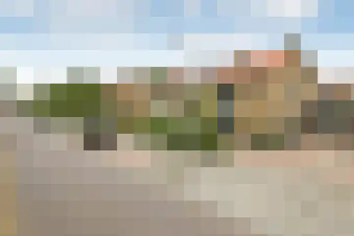 Johan de Wittstraat 17 Elst thumbnail 56