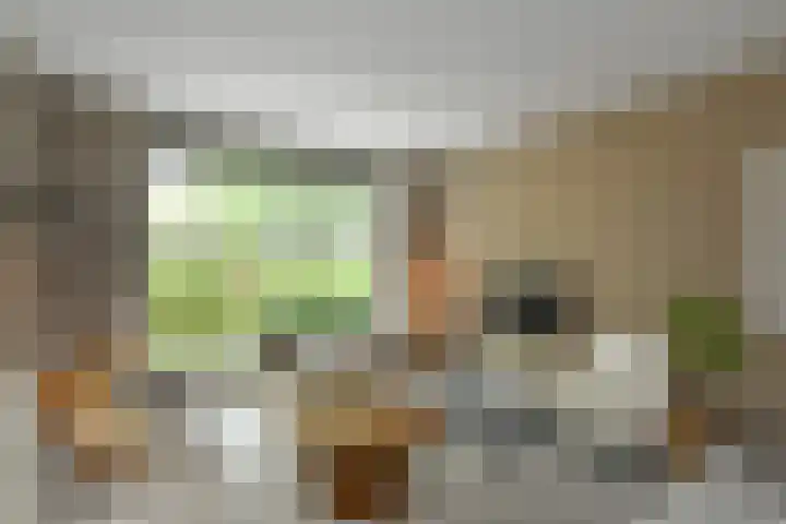 Johan de Wittstraat 17 Elst thumbnail 6