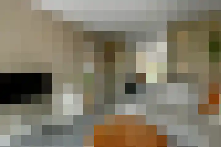 Johan de Wittstraat 17 Elst thumbnail 7