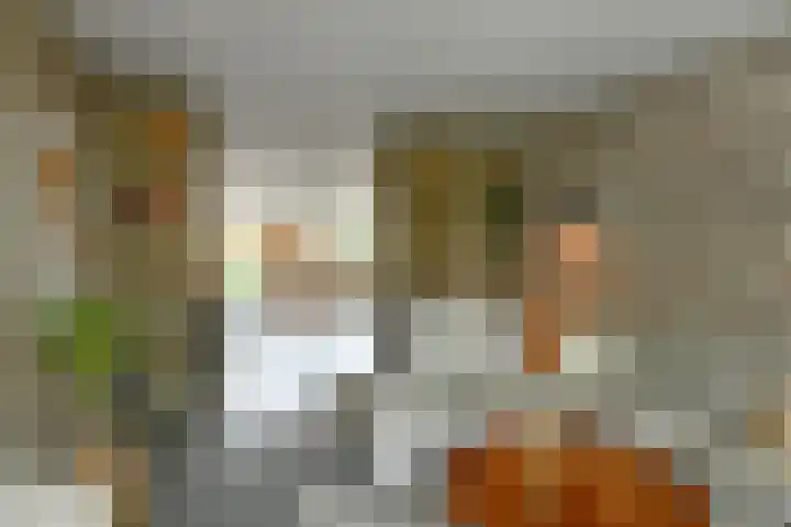 Johan de Wittstraat 17 Elst thumbnail 8