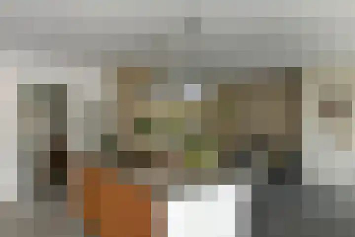 Johan de Wittstraat 17 Elst thumbnail 9