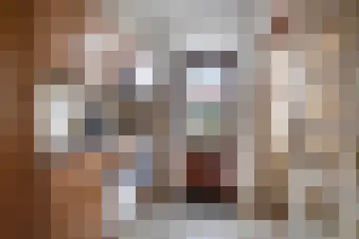 Johan de Wittstraat 2 Zwolle thumbnail 12