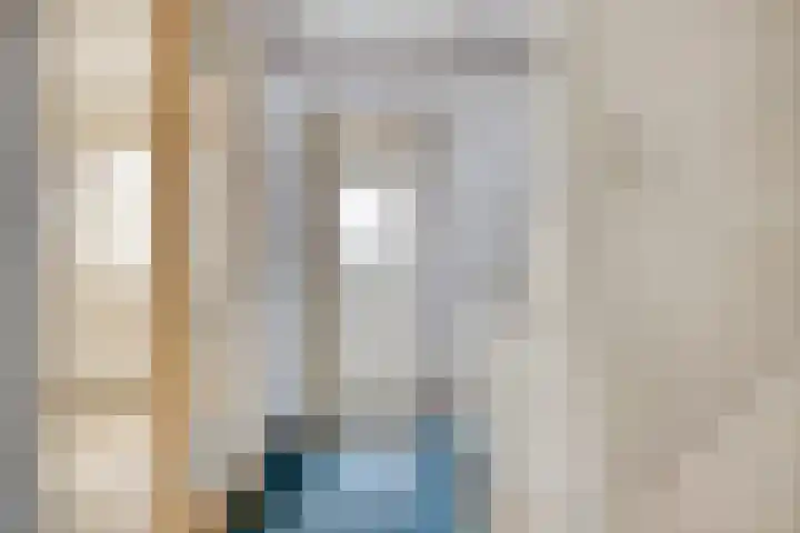 Johan de Wittstraat 2 Zwolle thumbnail 13