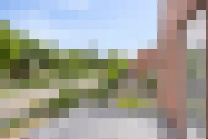 Johan de Wittstraat 2 Zwolle thumbnail 18