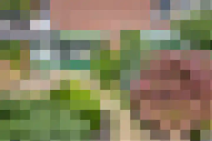 Johan de Wittstraat 2 Zwolle thumbnail 21