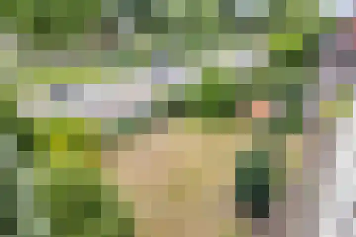 Johan de Wittstraat 2 Zwolle thumbnail 22