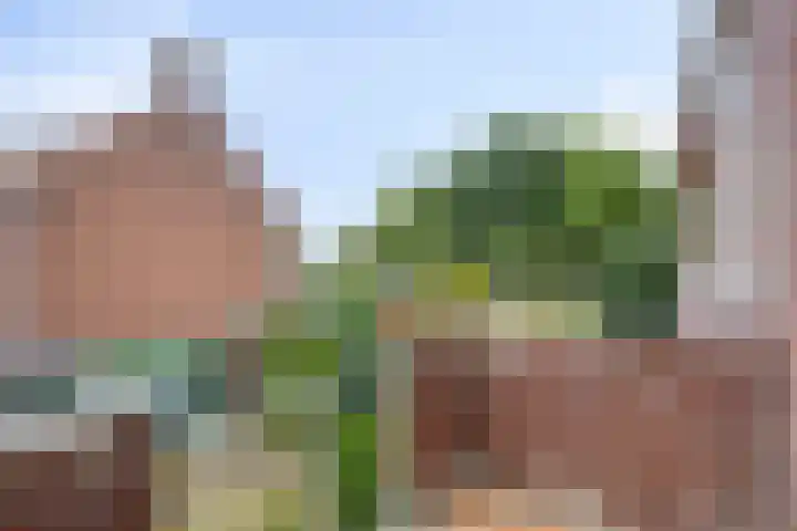 Johan de Wittstraat 2 Zwolle thumbnail 23