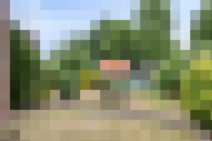 Johan de Wittstraat 2 Zwolle thumbnail 25