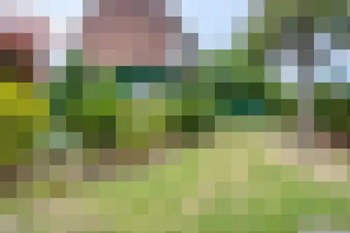 Johan de Wittstraat 2 Zwolle thumbnail 27