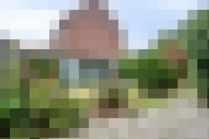 Johan de Wittstraat 2 Zwolle thumbnail 29