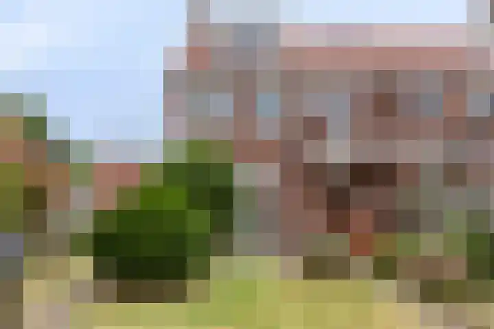 Johan de Wittstraat 2 Zwolle thumbnail 30