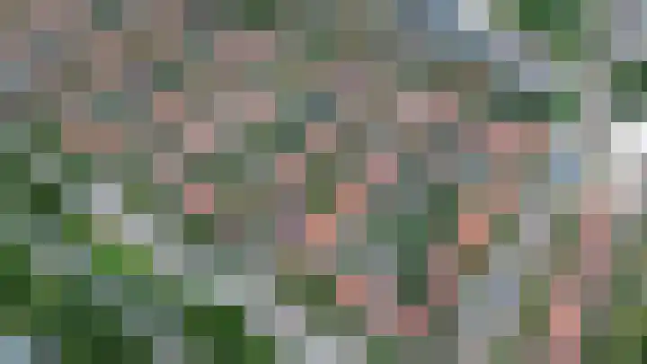 Johan de Wittstraat 2 Zwolle thumbnail 32