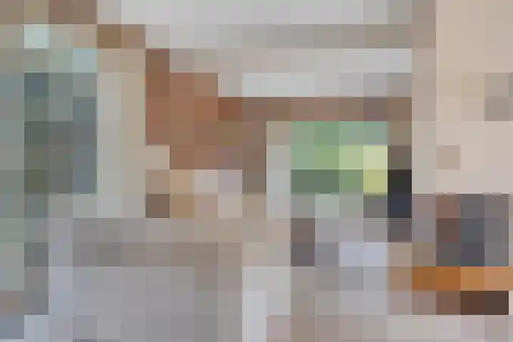 Johan de Wittstraat 2 Zwolle thumbnail 5
